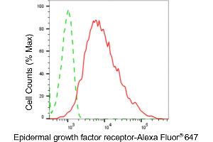Flow cytometric analysis of epidermal growth factor receptor expression in HepG2 cells using epidermal growth factor receptor antibody (ABIN7798478), 1:2,000). (Rekombinanter EGFR Antikörper)