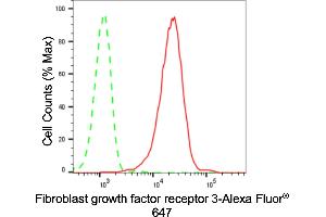 anti-Fibroblast Growth Factor Receptor 3 (FGFR3) antibody