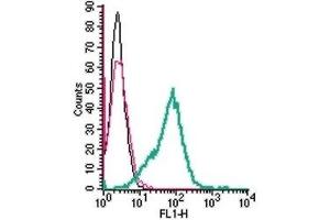 Cell surface detection of RAGE in live intact mouse BV-2 microglia cell line: (black line) Cells.