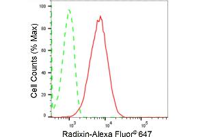 Flow cytometric analysis of Radixin expression in HepG2 cells using Radixin antibody (ABIN7800123), 1:2,000).