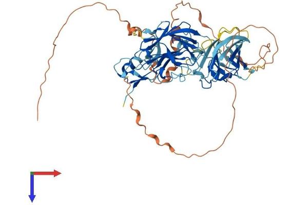 NEURL1B Protein (AA 1-555) (His tag)