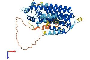 PDSS2 Protein (AA 1-399) (His tag)
