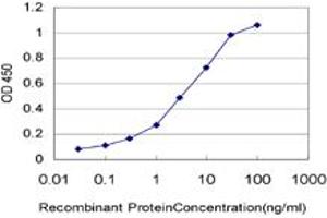 Detection limit for recombinant GST tagged HIC1 is approximately 0. (HIC1 Antikörper  (AA 396-453))