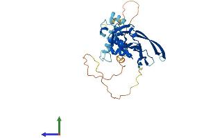 AlphaFold protein structure predicition of Human Recombinant DNAJB5 Protein, UniprotID O75953 (DNAJB5 Protein (AA 1-348) (His tag))