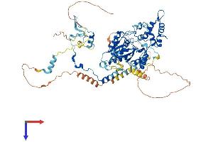GNL2 Protein (AA 1-728) (His tag)
