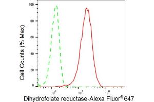 Flow cytometric analysis of Dihydrofolate reductase expression in HeLa cells using Dihydrofolate reductase antibody (ABIN7798334), 1:2,000). (Rekombinanter Dihydrofolate Reductase Antikörper)