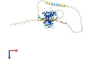 PCGF6 Protein (AA 1-353) (His tag)