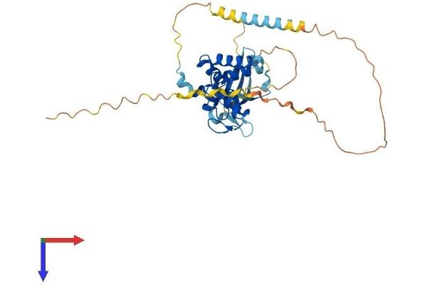 PCGF6 Protein (AA 1-353) (His tag)