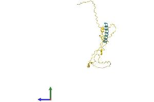 Protein Structure (PS) image for Transcription Elongation Factor A (SII)-Like 3 (TCEAL3) (AA 1-200) protein (His tag) (ABIN7544388)