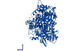 AlphaFold protein structure predicition of Mouse Recombinant Aco1 Protein, UniprotID P28271