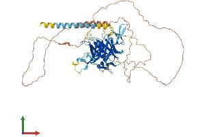 AlphaFold protein structure predicition of Human Recombinant TULP2 Protein, UniprotID O00295