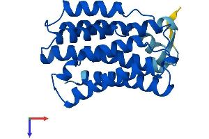 KDELR2 Protein (AA 1-212) (His tag)