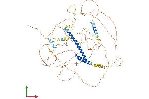 Protein Structure (PS) image for Transcription Factor 3 (E2A Immunoglobulin Enhancer Binding Factors E12/E47) (TCF3) (AA 1-651) protein (His tag) (ABIN7562893)