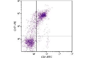 Chicken peripheral blood lymphocytes were stained with Mouse Anti-Chicken ChT1-PE. (ChT Antikörper  (FITC))