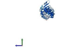 AlphaFold protein structure predicition of Mouse Recombinant Lrrc30 Protein, UniprotID Q3UV48