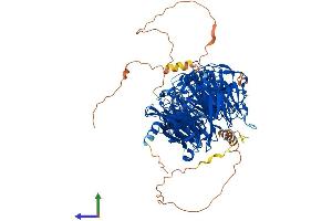 Protein Structure (PS) image for Lethal Giant Larvae Homolog 2 (LLGL2) (AA 1-1027) protein (His tag) (ABIN7563668)