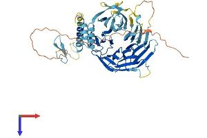 DCAF4 Protein (AA 1-495) (His tag)
