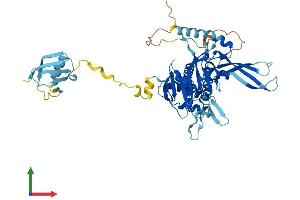 AlphaFold protein structure predicition of Human Recombinant USP14 Protein, UniprotID P54578 (USP14 Protein (AA 1-494) (His tag))