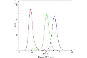 Flow cytometry testing of human A431 cells with PLIN1 antibody at 1ug/10^6 cells (blocked with goat sera) (PLIN1 Antikörper)