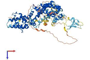 RASGRP2 Protein (AA 1-608) (His tag)