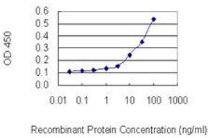 Detection limit for recombinant GST tagged SMUG1 is 3 ng/ml as a capture antibody. (SMUG1 Antikörper  (AA 1-177))
