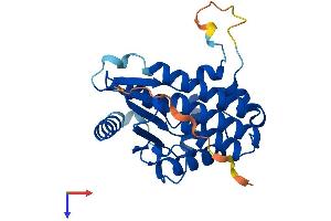 DCK Protein (AA 1-260) (His tag)