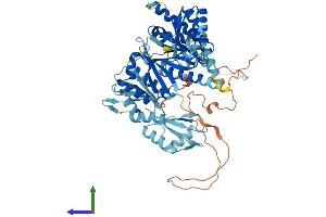 Protein Structure (PS) image for Insulin-Like Growth Factor 2 mRNA Binding Protein 2 (IGF2BP2) (AA 1-599) protein (His tag) (ABIN7554155)