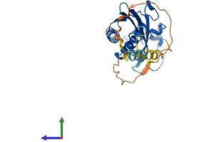 Protein Structure (PS) image for Receptor (Chemosensory) Transporter Protein 3 (RTP3) (AA 1-232) protein (His tag) (ABIN7551605)