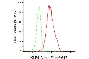 Flow cytometric analysis of KLF4 expression in HepG2 cells using KLF4 antibody (ABIN7799216), 1:2,000). (Rekombinanter KLF4 Antikörper)