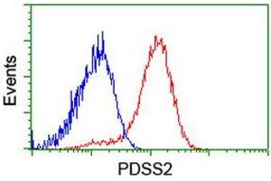 Flow cytometric Analysis of Hela cells, using anti-PDSS2 antibody (ABIN2455301), (Red), compared to a nonspecific negative control antibody, (Blue). (PDSS2 Antikörper)