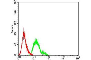 Flow cytometric analysis of Hela cells using TFAP2A mouse mAb (green) and negative control (red).
