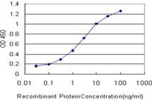 Detection limit for recombinant GST tagged ATRX is approximately 0. (ATRX Antikörper  (AA 2311-2410))