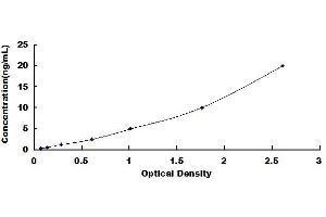 Typical standard curve (SDC4 ELISA Kit)