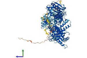 Protein Structure (PS) image for Polymerase (DNA Directed), delta 1, Catalytic Subunit 125kDa (POLD1) (AA 1-1107) protein (His tag) (ABIN7553696)
