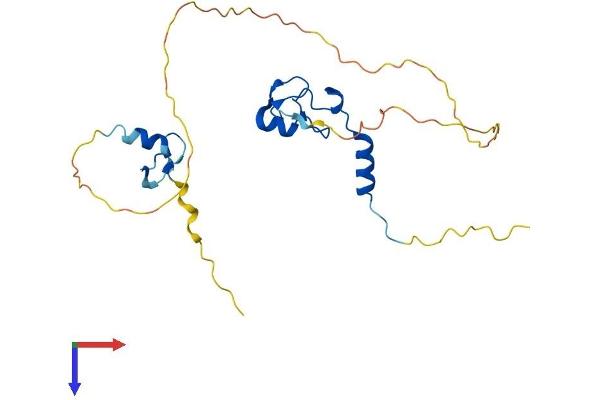 ZFAND3 Protein (AA 1-227) (His tag)