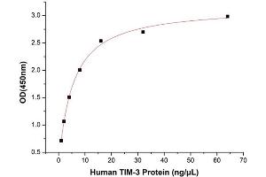 Activity Assay (AcA) image for Hepatitis A Virus Cellular Receptor 2 (TIM 3) (AA 22-200) (Active) protein (His-Fc tag) (ABIN7607665)