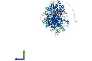 Protein Structure (PS) image for Exostoses (Multiple)-Like 3 (EXTL3) (AA 1-918) protein (His tag) (ABIN7565247)