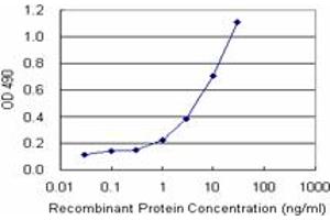 Sandwich ELISA detection sensitivity ranging from 1 ng/mL to 100 ng/mL.