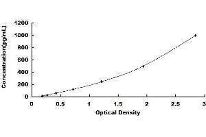 Typical standard curve (ANG ELISA Kit)