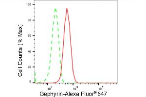 Flow cytometric analysis of Gephyrin expression in HT- cells using Gephyrin antibody (ABIN7798712), 1:2,000). (Rekombinanter Gephyrin Antikörper)
