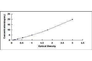 Typical standard curve (RFTN1 ELISA Kit)