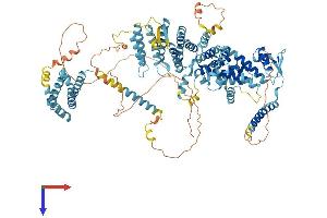 EIF3C Protein (AA 1-913) (His tag)