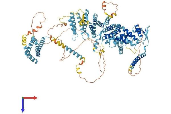EIF3C Protein (AA 1-913) (His tag)