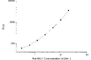 Typical standard curve (HMOX2 CLIA Kit)