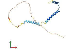 AlphaFold protein structure predicition of Human Recombinant EID2B Protein, UniprotID Q96D98