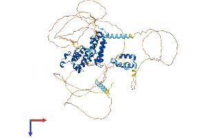 BRD2 Protein (AA 1-798) (His tag)