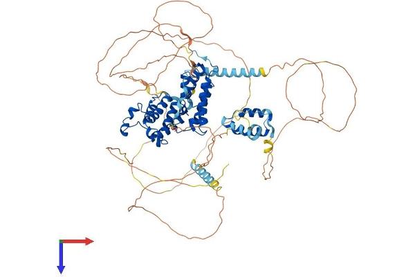 BRD2 Protein (AA 1-798) (His tag)