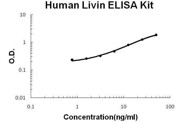 BIRC7 ELISA Kit