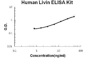 Human Livin PicoKine ELISA Kit standard curve