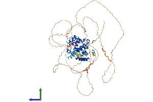 Protein Structure (PS) image for T-Cell Activation rho GTPase-Activating Protein (TAGAP) (AA 1-714) protein (His tag) (ABIN7562059)